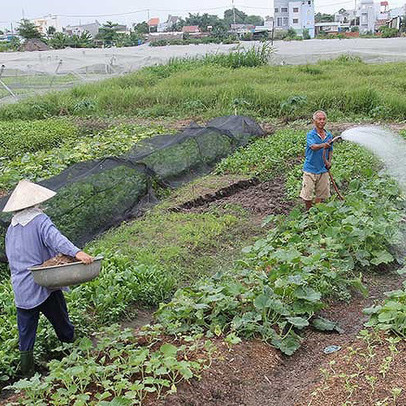 Chuyển đổi 26.000 ha đất nông nghiệp: Dân sẽ được lợi!