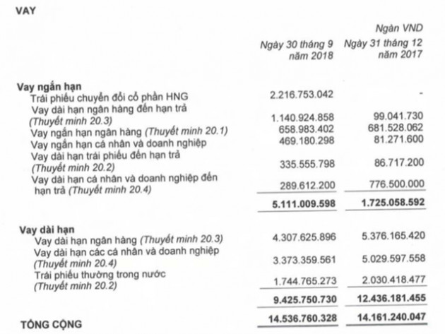 Chuyển động nợ tại HAG-HNG: Tăng ngắn giảm dài, đang mượn tạm Chủ tịch Thaco và bầu Đức cả 1.000 tỷ - Ảnh 2.