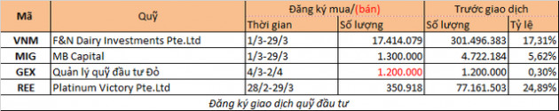 Chuyển động quỹ đầu tư tuần 25/2-2/3: Các quỹ của Dragon Capital cơ cấu mạnh danh mục - Ảnh 2.