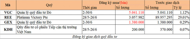 Chuyển động quỹ đầu tư tuần 29/6-5/7: VinaCapital mua KDC, Dragon thoái HDG và CII - Ảnh 2.