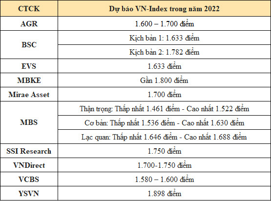 Chuyên gia bắt mạch thị trường chứng khoán năm 2022 - Ảnh 1.