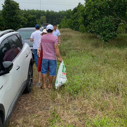 Chuyên gia chỉ bí kíp đón sóng, hoặc lỡ đu đỉnh rồi làm sao để thoát hàng?