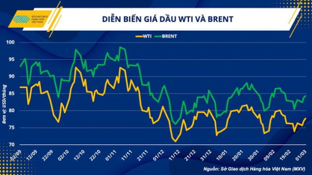 Chuyên gia: Trong ngắn hạn, giá dầu thế giới ít biến động, giá xăng dầu trong nước sẽ bình ổn - Ảnh 2.