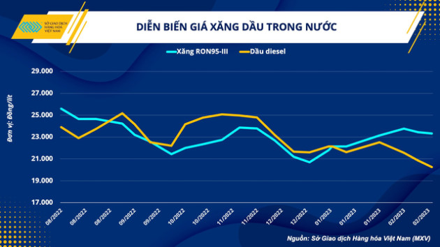 Chuyên gia: Trong ngắn hạn, giá dầu thế giới ít biến động, giá xăng dầu trong nước sẽ bình ổn - Ảnh 4.