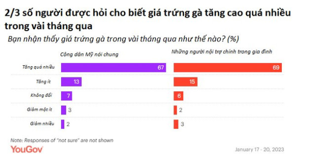 Chuyện lạ: 1 bịch vài quả giá tới 14 USD, trứng trở thành mặt hàng ‘buôn lậu’ nóng tại Mỹ - Ảnh 2.