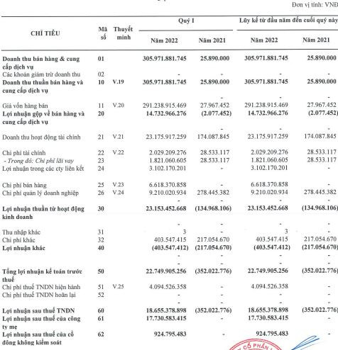 Chuyển nhượng toàn bộ cổ phiếu Ladophar (LDP) cho “người nhà”, Louis Capital (TGG) vẫn lãi thấp nhất trong 4 quý - Ảnh 1.