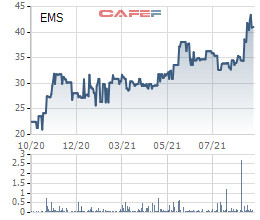 Chuyển phát nhanh Bưu điện (EMS) chuẩn bị phát hành cổ phiếu tăng vốn điều lệ với tỷ lệ 9,09% - Ảnh 1.
