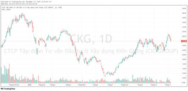 CIC Group (CKG) lên kế hoạch chào bán riêng lẻ 13,4 triệu cổ phiếu để trả nợ - Ảnh 1.