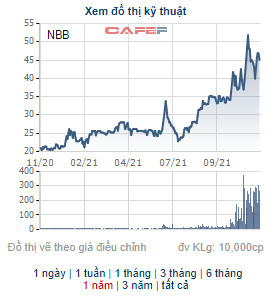 CII bán xong 11,5 triệu cổ phiếu NBB trong 10 ngày, NBB hạ nhiệt sau giai đoạn tăng mạnh - Ảnh 1.