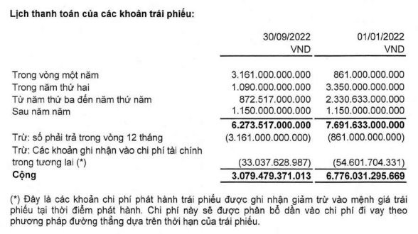 CII lên tiếng về dư nợ vay và trái phiếu, khẳng định không phải là công ty kinh doanh bất động sản thuần túy - Ảnh 2.