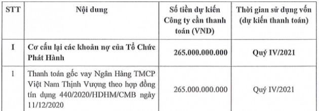 CII muốn huy động 500 tỷ trái phiếu để trả nợ gốc vay tại VPBank và đầu tư dự án - Ảnh 1.