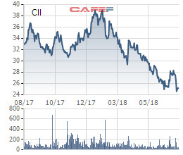 CII: Nửa đầu năm lãi ròng giảm sốc hơn 45 lần về 35 tỷ đồng, chỉ thực hiện vỏn vẹn 3% kế hoạch - Ảnh 1.