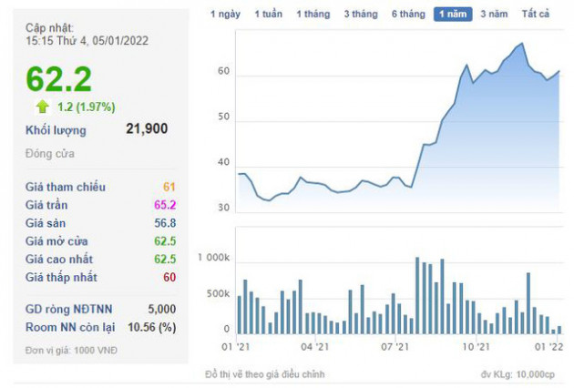 CMC Group (CMG) thông qua phương án phát hành 9 triệu cổ phiếu trả cổ tức - Ảnh 1.