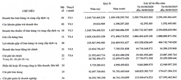 CMC Group lãi quý 2 đạt 66 tỷ đồng, tăng trưởng so với cùng kỳ 2019 - Ảnh 1.