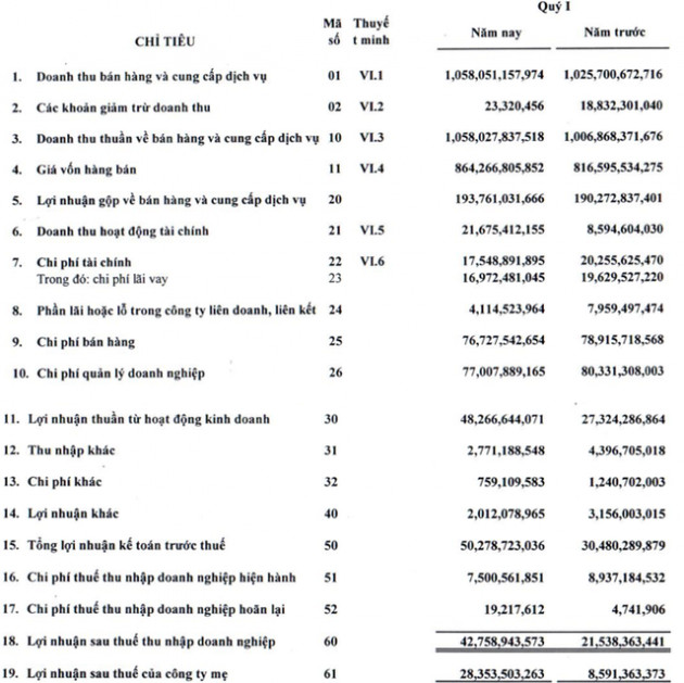 CMC Group lãi ròng quý 1 tăng trưởng 3,3 lần so với cùng kỳ 2019 - Ảnh 1.