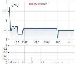 CMC: Quý 2 lỗ 2,8 tỷ đồng, cổ phiếu không có giao dịch suốt nhiều phiên - Ảnh 2.