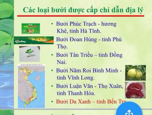 Có bùa chú này, người trồng cam Cao Phong, bưởi da xanh Bến Tre, hộ kinh doanh chả mực Hạ Long... sẽ thu lợi cao hơn từ đặc sản và dẹp nạn hàng giả mạo danh - Ảnh 1.