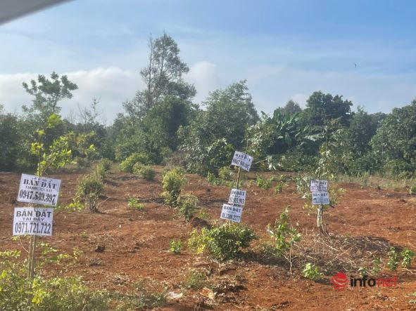 'Cò' đất đột ngột mất hút, điểm nóng 'sốt' đất ở Tây Nguyên ê chề, giá lao dốc không phanh