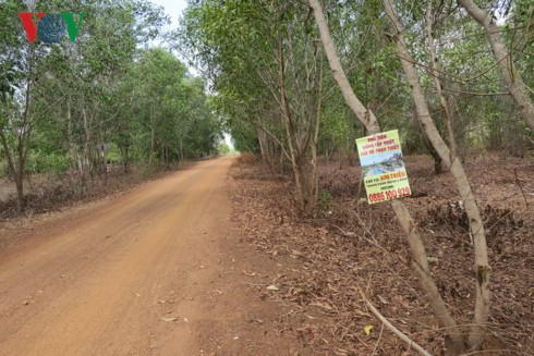 “Cò đất” không còn tung hoành ở khu vực dự án Sân bay Phan Thiết - Ảnh 1.