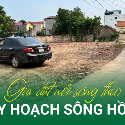 “Cò” đất tung chiêu trò, giá đất nhảy múa tại khu vực quy hoạch sông Hồng