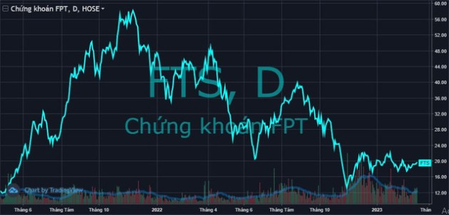 Cổ đông lớn đến từ Nhật Bản “miệt mài” gom cổ phiếu của Chứng khoán FPT - Ảnh 1.