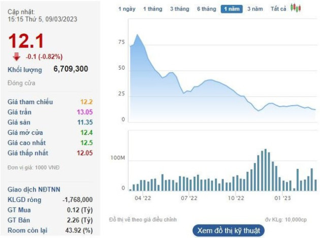 Cổ đông lớn nhất của DIC Corp tiếp tục bán ra hàng triệu cổ phiếu DIG - Ảnh 1.