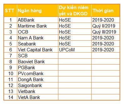 Cổ đông thúc ngân hàng lên sàn trước hạn chót - Ảnh 1.