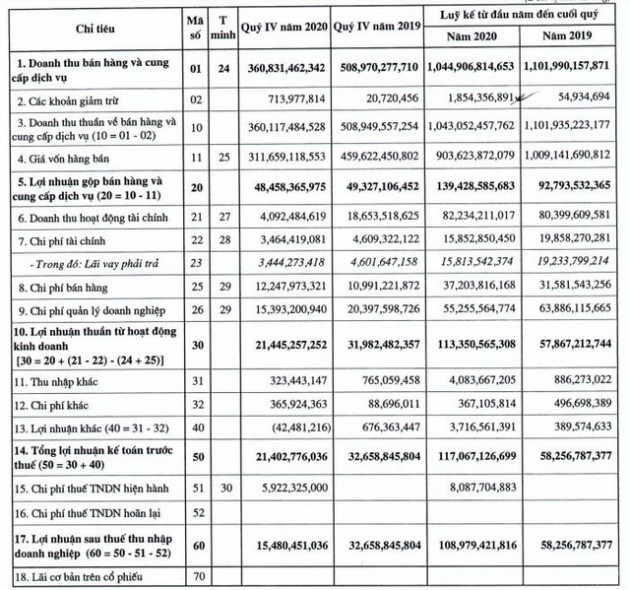 Cơ khí Đông Anh Licogi (CKD): Năm 2020 LNST đạt 109 tỷ đồng tăng 88% so với cùng kỳ - Ảnh 1.