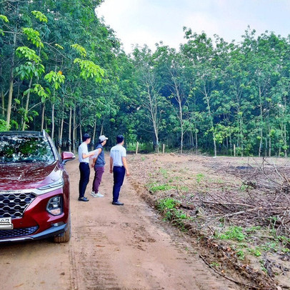 Có nên vay ngân hàng để mua nhà đất lúc này?