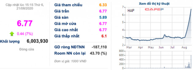 Cổ phiếu bỗng kịch trần 10 phiên với thanh khoản đột biến, Hapaco (HAP) lên tiếng phủ nhận không tác động lên giá thị trường - Ảnh 1.