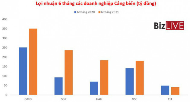 Cổ phiếu Cảng biển tạo sóng 3 sàn, nhiều mã tăng bằng lần từ đầu năm 2021 - Ảnh 4.