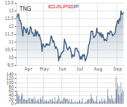 Cổ phiếu cất cánh, TNG báo lãi ròng 8 tháng đầu năm 118 tỷ đồng, thực hiện 93% kế hoạch - Ảnh 1.