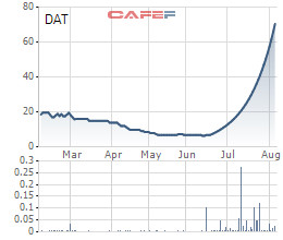 Cổ phiếu DAT tăng trần 36 phiên liên tiếp, tăng vọt từ 6.800 lên trên 75.000 đồng - Ảnh 1.