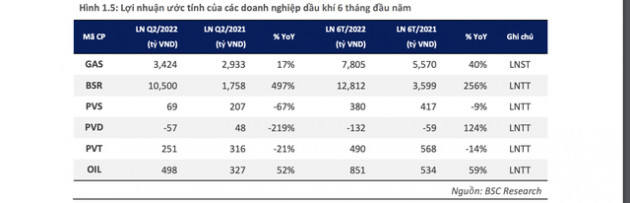 Cổ phiếu Dầu khí- Nhóm ngành chống chịu tốt trong khủng hoảng | DIỄN ĐÀN TÀI CHÍNH - Ảnh 2.