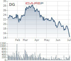 Cổ phiếu DIG giảm sâu, Chủ tịch công ty chỉ mua hơn nửa số cổ phần đăng ký - Ảnh 1.