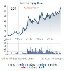 Cổ phiếu GDT tăng 60% từ đầu năm, Gỗ Đức Thành chốt quyền tạm ứng cổ tức bằng tiền tỷ lệ 20% - Ảnh 1.