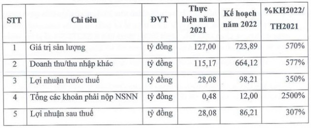 Cổ phiếu giảm sàn liên tiếp sau khi dính án hủy niêm yết, Victory Capital (PTL) nói gì? - Ảnh 1.