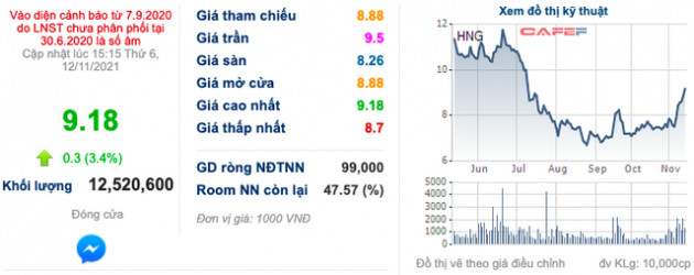 Cổ phiếu HAG liên tục tăng trần, bầu Đức đã bỏ túi thêm hơn 800 tỷ chỉ sau nửa tháng - Ảnh 3.