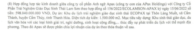  Cổ phiếu IBC - Apax Holdings của Shark Thuỷ mất 56% giá trị sau hơn một tháng, báo cáo tài chính chỉ ra doanh nghiệp còn lại bao nhiêu tiền? - Ảnh 2.