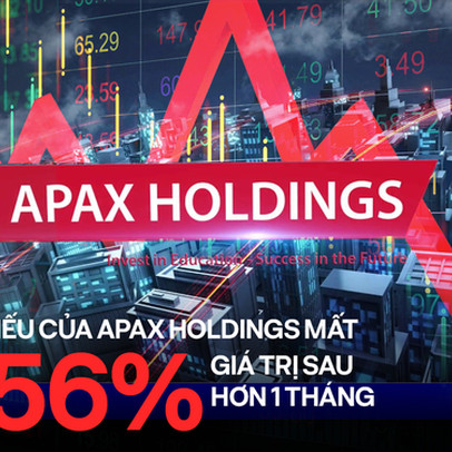 Cổ phiếu IBC - Apax Holdings của Shark Thuỷ mất 56% giá trị sau hơn một tháng, báo cáo tài chính chỉ ra doanh nghiệp còn lại bao nhiêu tiền?