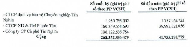 Cổ phiếu lao dốc, KCN Tín Nghĩa (TIP) báo lãi quý 4 sụt giảm 44% cùng kỳ - Ảnh 2.