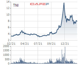 Cổ phiếu mô hình cây thông TNI vừa bị HOSE đưa vào diện cảnh báo do lỗ ròng hơn 16 tỷ đồng trong năm 2021 - Ảnh 1.