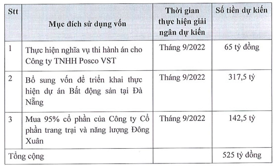 Cổ phiếu mô hình cây thông và vừa bị HoSE cảnh báo: Chủ tịch TNI vừa tuyên bố sẽ không chối bỏ trách nhiệm - Ảnh 2.