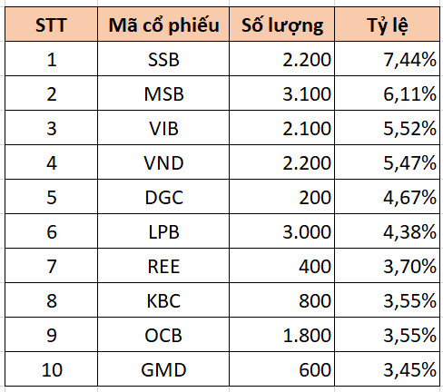 Cổ phiếu ngân hàng chiếm tỷ trọng lớn nhất cơ cấu danh mục quỹ midcap của Dragon Capital - Ảnh 2.