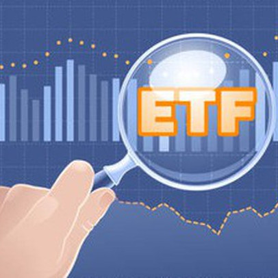 Cổ phiếu ngân hàng chiếm tỷ trọng lớn nhất cơ cấu danh mục quỹ midcap của Dragon Capital