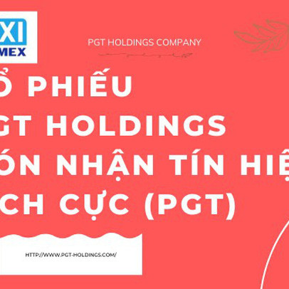 Cổ phiếu PGT Holdings đón nhận tín hiệu tích cực