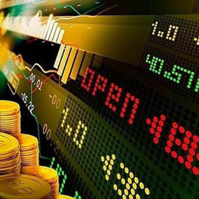 Cổ phiếu PGT Holdings hút giới đầu tư chứng khoán ngay trong mùa dịch