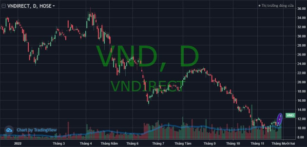 Cổ phiếu quốc dân trở lại: HPG tăng 44% từ đáy, VND lập “hat trick” kịch trần, NVL liệu tiếp nối? - Ảnh 2.