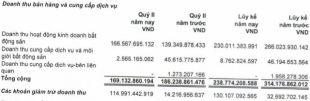 Cổ phiếu rơi dựng đứng, LDG Group báo lãi công ty mẹ nửa đầu năm giảm 42% xuống 112 tỷ đồng - Ảnh 1.