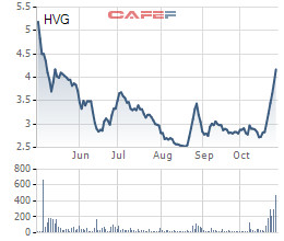 Cổ phiếu tăng 53% sau 2 tuần, Thủy sản Hùng Vương báo lỗ hợp nhất 242 tỷ đồng trong quý 4 niên độ tài chính - Ảnh 2.